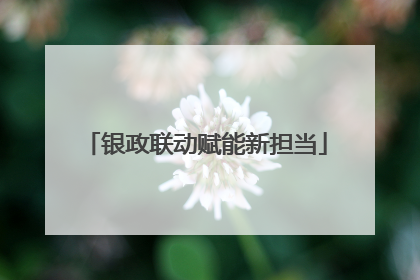 银政联动赋能新担当