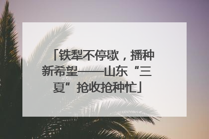 铁犁不停歇，播种新希望——山东“三夏”抢收抢种忙