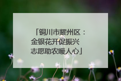 铜川市耀州区：金银花开促振兴 志愿助农暖人心