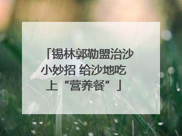 锡林郭勒盟治沙小妙招 给沙地吃上“营养餐”