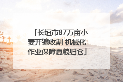 长垣市87万亩小麦开镰收割 机械化作业保障夏粮归仓