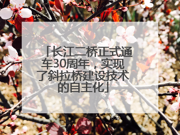 长江二桥正式通车30周年，实现了斜拉桥建设技术的自主化