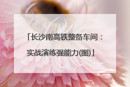长沙南高铁整备车间：实战演练强能力(图)