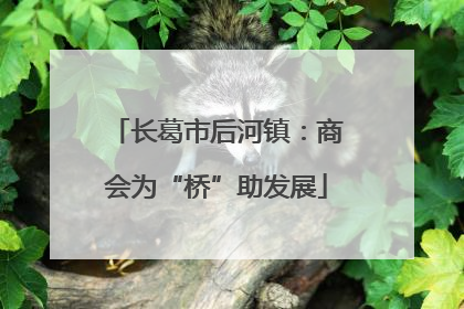 长葛市后河镇：商会为“桥”助发展