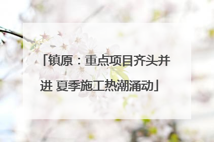 镇原：重点项目齐头并进 夏季施工热潮涌动