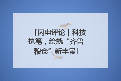 闪电评论｜科技执笔，绘就“齐鲁粮仓”新丰景