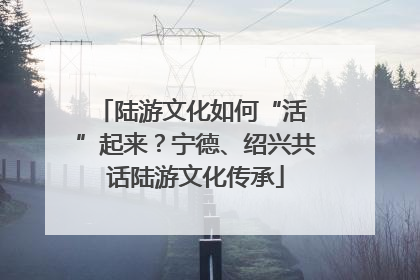 陆游文化如何“活 ”起来？宁德、绍兴共话陆游文化传承
