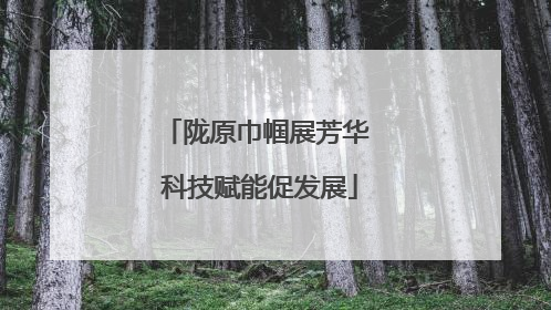陇原巾帼展芳华 科技赋能促发展