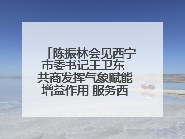 陈振林会见西宁市委书记王卫东 共商发挥气象赋能增益作用 服务西宁经济社会高质量发展