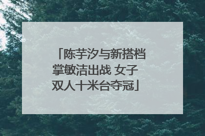 陈芋汐与新搭档掌敏洁出战 女子双人十米台夺冠
