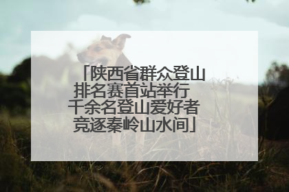 陕西省群众登山排名赛首站举行 千余名登山爱好者竞逐秦岭山水间