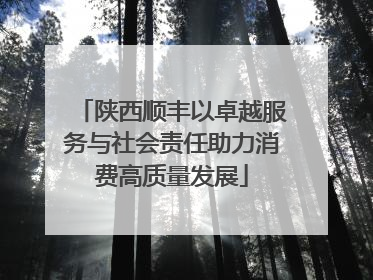 陕西顺丰以卓越服务与社会责任助力消费高质量发展