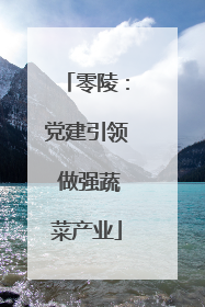零陵：党建引领 做强蔬菜产业