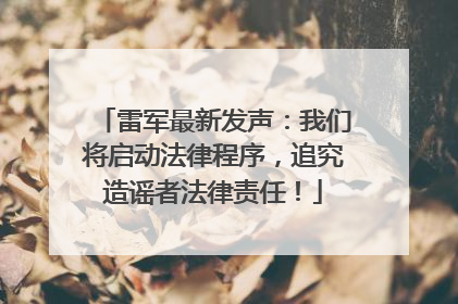 雷军最新发声：我们将启动法律程序，追究造谣者法律责任！