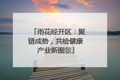 雨花经开区：聚链成势，共绘健康产业新图景