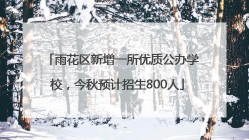 雨花区新增一所优质公办学校，今秋预计招生800人