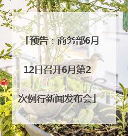 预告：商务部6月12日召开6月第2次例行新闻发布会