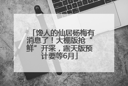 馋人的仙居杨梅有消息了！大棚版抢“鲜”开采，露天版预计要等6月