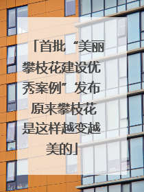 首批“美丽攀枝花建设优秀案例”发布 原来攀枝花是这样越变越美的