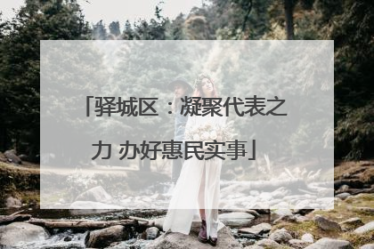驿城区：凝聚代表之力 办好惠民实事