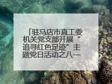 驻马店市直工委机关党支部开展“追寻红色足迹”主题党日活动之八——鏖战独树镇
