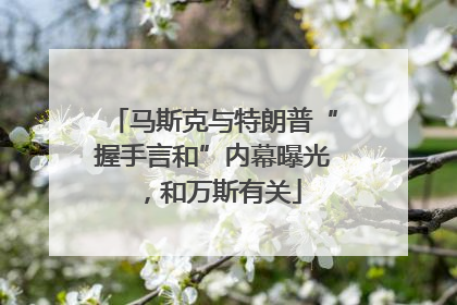 马斯克与特朗普“握手言和”内幕曝光，和万斯有关