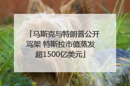 马斯克与特朗普公开骂架 特斯拉市值蒸发超1500亿美元