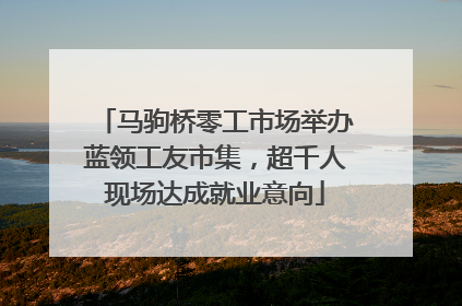 马驹桥零工市场举办蓝领工友市集，超千人现场达成就业意向