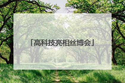 高科技亮相丝博会