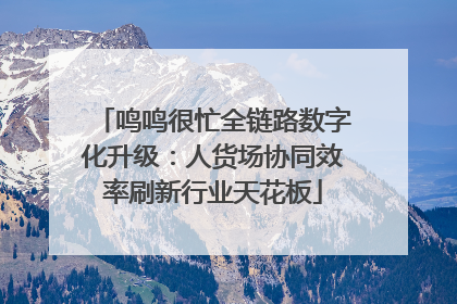 鸣鸣很忙全链路数字化升级：人货场协同效率刷新行业天花板