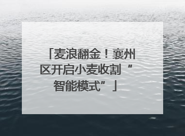 麦浪翻金！襄州区开启小麦收割“智能模式”