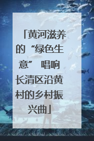 黄河滋养的“绿色生意” 唱响长清区沿黄村的乡村振兴曲