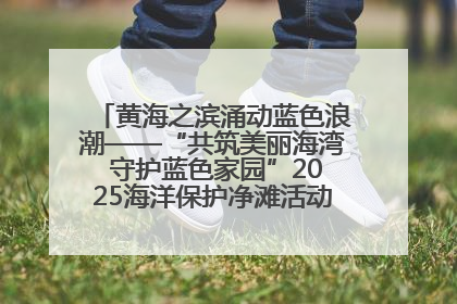 黄海之滨涌动蓝色浪潮——“共筑美丽海湾 守护蓝色家园”2025海洋保护净滩活动暨“美丽江苏—江河湖海青蓝行”海洋篇在连云港举行