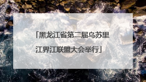 黑龙江省第二届乌苏里江界江联盟大会举行