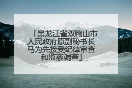 黑龙江省双鸭山市人民政府原副秘书长马为先接受纪律审查和监察调查