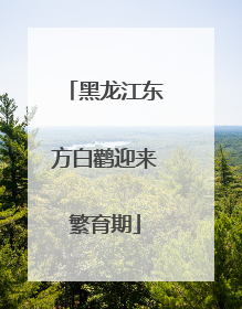 黑龙江东方白鹳迎来繁育期