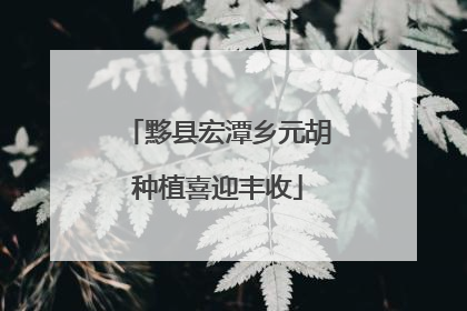 黟县宏潭乡元胡种植喜迎丰收