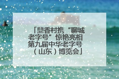 鼎香村携“聊城老字号”惊艳亮相第九届中华老字号（山东）博览会