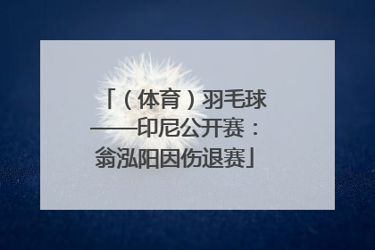（体育）羽毛球——印尼公开赛：翁泓阳因伤退赛