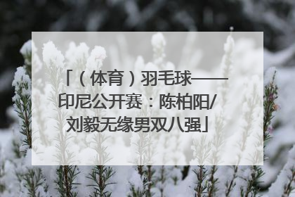 （体育）羽毛球——印尼公开赛：陈柏阳/刘毅无缘男双八强
