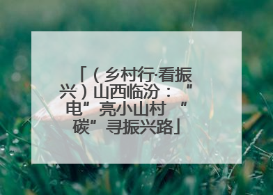 （乡村行·看振兴）山西临汾：“电”亮小山村 “碳”寻振兴路