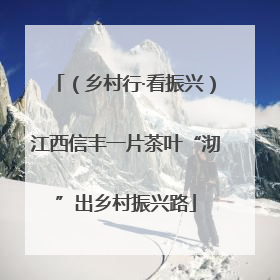 （乡村行·看振兴）江西信丰一片茶叶“沏”出乡村振兴路