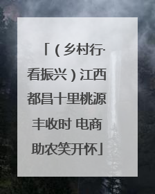 （乡村行·看振兴）江西都昌十里桃源丰收时 电商助农笑开怀
