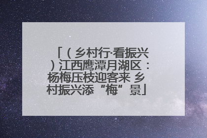 （乡村行·看振兴）江西鹰潭月湖区：杨梅压枝迎客来 乡村振兴添“梅”景