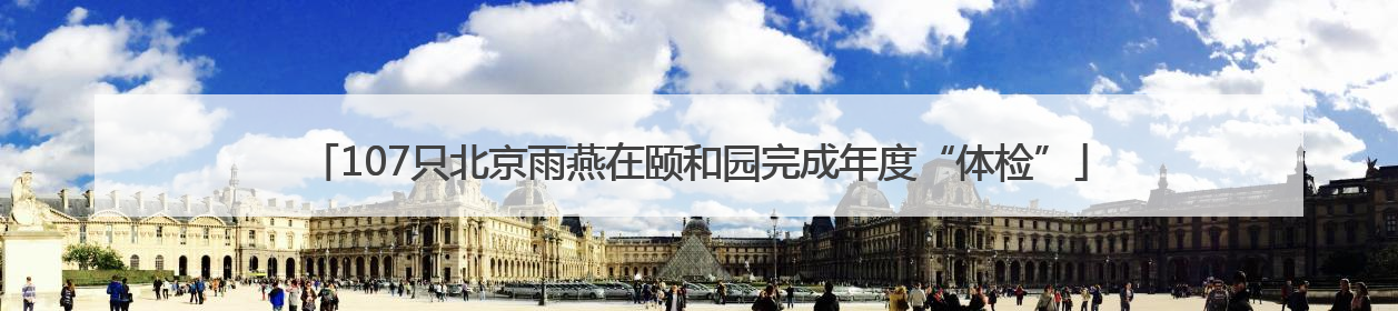 107只北京雨燕在颐和园完成年度“体检”