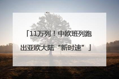 11万列！中欧班列跑出亚欧大陆“新时速”