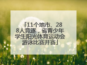 11个地市、288人竞逐，省青少年学生阳光体育运动会游泳比赛开赛