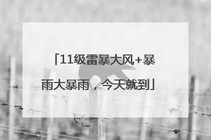 11级雷暴大风+暴雨大暴雨，今天就到
