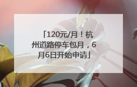 120元/月！杭州道路停车包月，6月6日开始申请