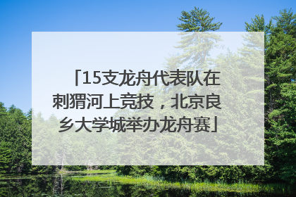 15支龙舟代表队在刺猬河上竞技，北京良乡大学城举办龙舟赛